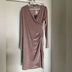 Wilfred Free, Large, Dusty Rose Velvet Dress